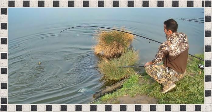 Best Off - 1808361669020900242671000011343141893380718326616n.jpg